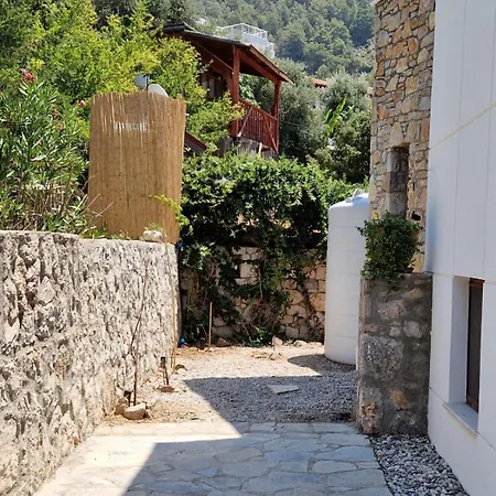 Villa Brise Marine - With Sea View In Faralya Fethiye